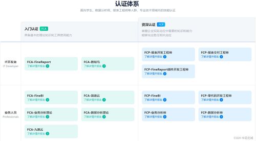 計算機軟件證書與專業咨詢 提升技能與職業發展的關鍵
