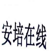 合肥朗霽軟件技術 專業計算機軟件咨詢服務解析