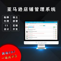 亞馬遜ERP管理系統在無貨源店群運營中的應用與定制開發
